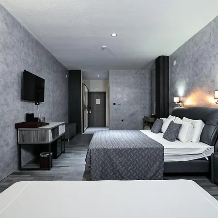 Grey Star Hotel Negotino (Negotino)